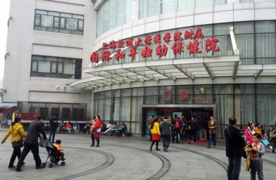 云南上海做试管助孕，上海国妇婴试管婴儿成功率和费用是怎样？